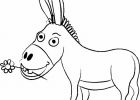 Dessin D&amp;#039;un âne Élégant Collection Coloriage Ne Trotro Dessin Gratuit à Imprimer