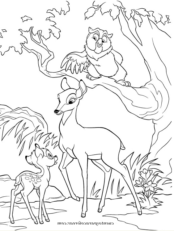 Dessin De Biche Inspirant Photos Dibujos Para Colorear Bambi Disney
