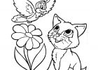 Dessin De Chat A Imprimer Élégant Stock Coloriage Chat Oiseau Fleur Dessin