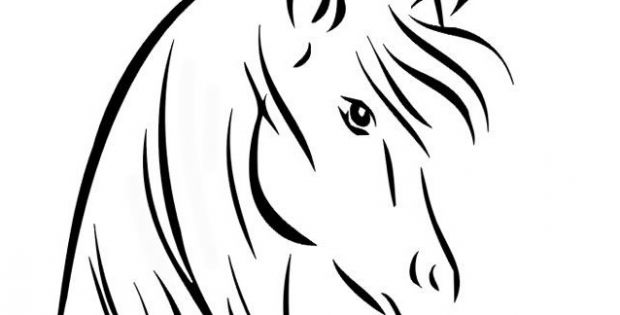 Dessin De Cheval Facile à Faire Cool Photos Coloriage