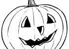 Dessin De Citrouille Halloween Élégant Image Coloriage Gratuit D Images De Citrouilles D Halloween