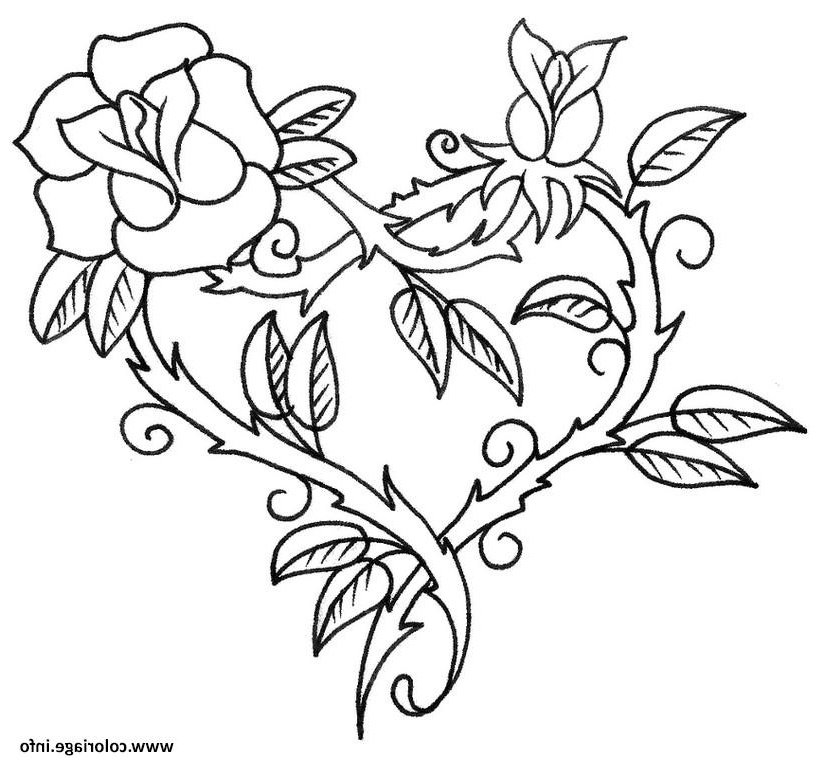 Dessin De Coeur Avec Une Rose Beau Photos Coloriage Rose En forme De Coeur Jecolorie