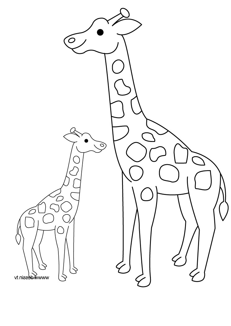 Dessin De Coloriage Cool Collection Dessin De Girafe 9