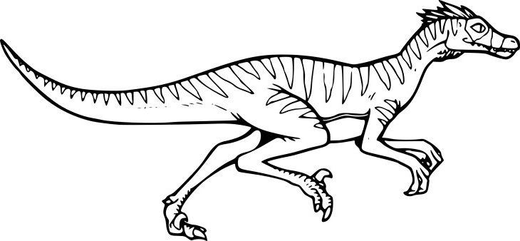 Dessin De Dinosaure A Imprimer Beau Stock Coloriage Dinosaure Velociraptor à Imprimer