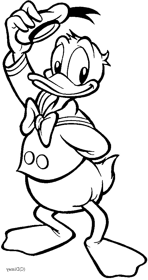 Dessin De Donald Luxe Collection Coloriages De Donald Duck