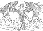 Dessin De Dragons Luxe Collection Dragon Des Montagnes Dragons Coloriages Difficiles