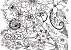 Dessin De Fleur A Imprimer Gratuit Inspirant Images Coloriage Fleurs Simples Pour Adulte Dessin