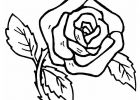 Dessin De Fleur A Imprimer Gratuit Luxe Photographie Coloriage Fleur Rose Simple Et Facile Dessin