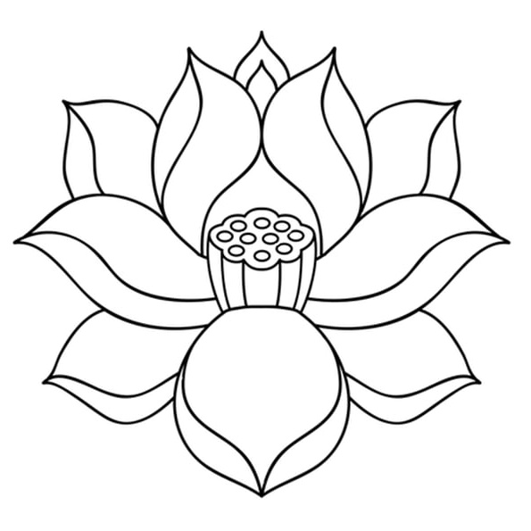 Dessin De Fleur De Lotus Élégant Images Fleur De Lotus Zen Coloriage Fleur De Lotus Zen En Ligne