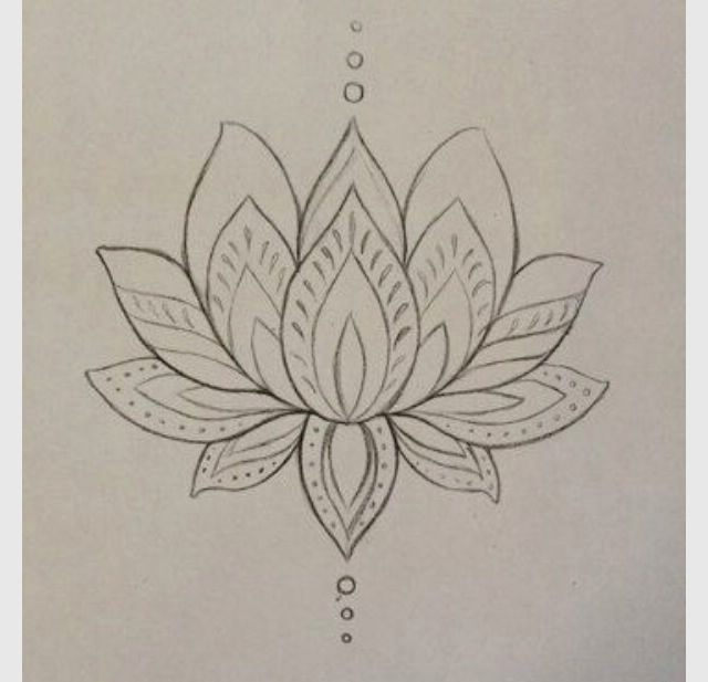 Dessin De Fleur De Lotus Luxe Images Dessin Fleur De Lotus Beau Botanical Lotus Illustration T