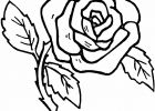 Dessin De Fleur Rose Élégant Collection Dessins De Fleurs à Colorier Déco Mariage