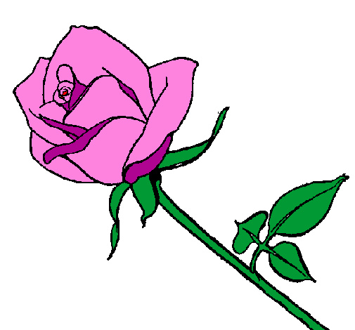 Dessin De Fleur Rose Élégant Photos Dessin De Rose Colorie Par Membre Non Inscrit Le 02 De