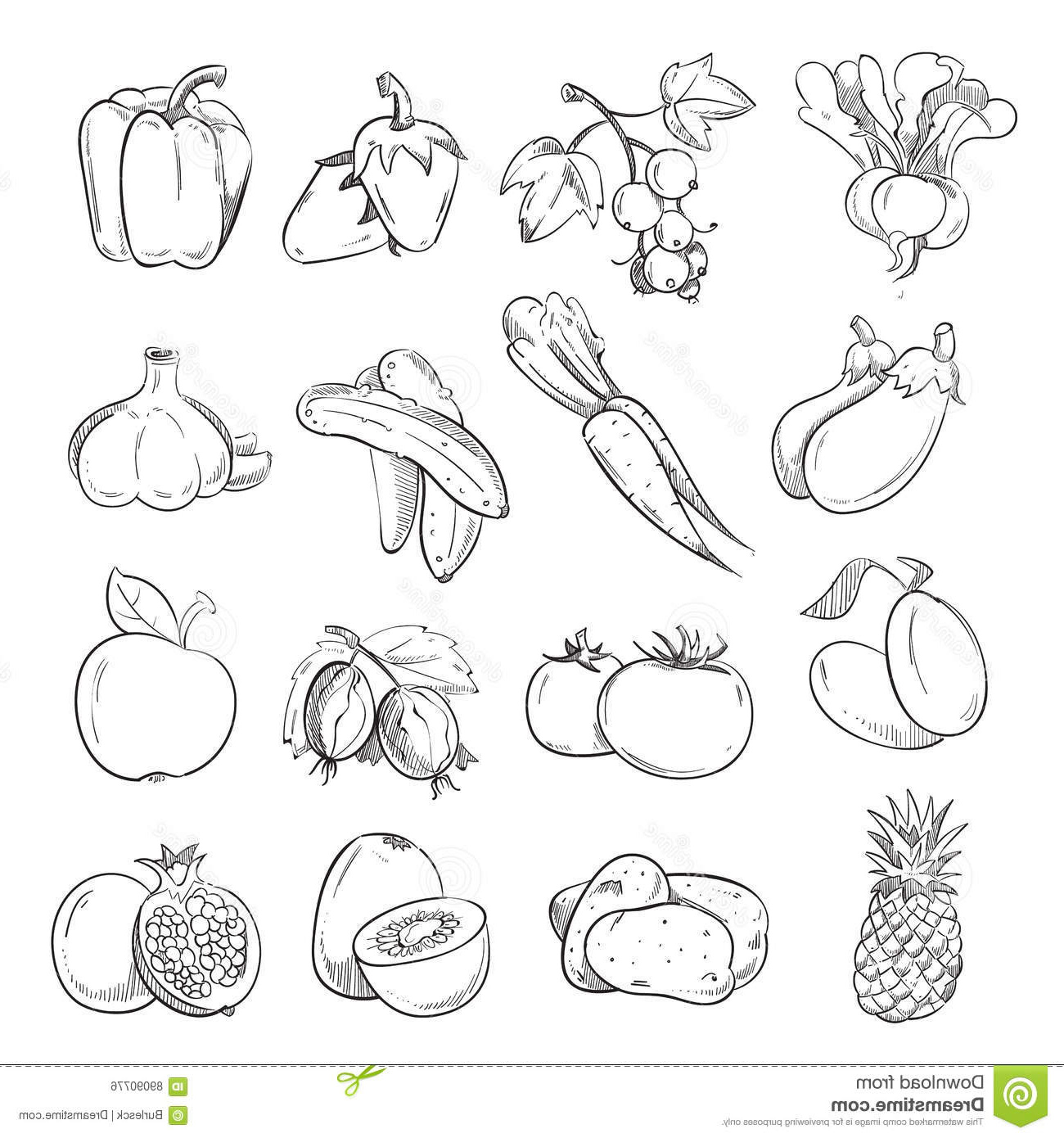 Dessin De Fruits Et Légumes Beau Collection Griffonnages Des Légumes Et Des Fruits Vegan De Dessin De