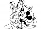 Dessin De Mickey Nouveau Photos Mickey Donald Dingo Coloriage Mickey Et Ses Amis
