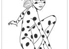 Dessin De Miraculous Ladybug Nouveau Photos 15 Coloriage Ladybug Et Chat Noir à Imprimer Gratuit