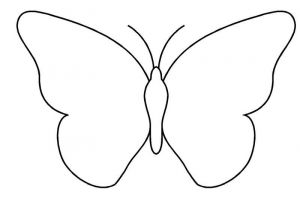 Dessin De Papillon à Imprimer Beau Galerie Papillons Transparents