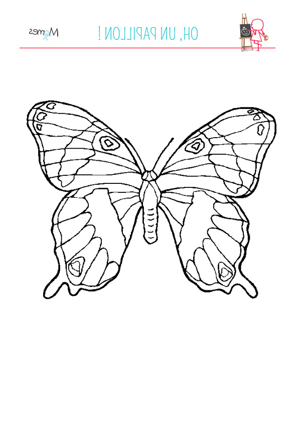 Dessin De Papillon à Imprimer Cool Galerie Coloriage Grand Papillon Momes