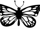 Dessin De Papillon à Imprimer Impressionnant Collection Ment Dessiner Un Papillon