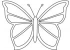 Dessin De Papillon à Imprimer Impressionnant Galerie Papillon 143 Animaux – Coloriages à Imprimer