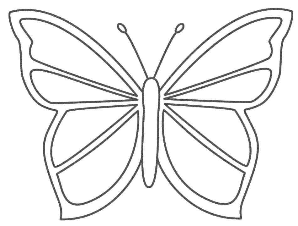 Dessin De Papillon à Imprimer Impressionnant Galerie Papillon 143 Animaux – Coloriages à Imprimer