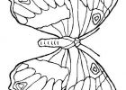 Dessin De Papillon à Imprimer Nouveau Image Coloriage Papillon à Imprimer Gratuitement