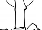 Dessin De Rennes A Imprimer Bestof Photos Coloriage Chandelle De Noel à Imprimer