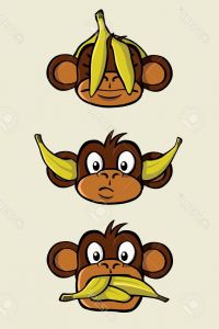 Dessin De Singe Bestof Photos the Three Wise Monkeys From the Proverb