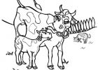 Dessin De Vache à Imprimer Beau Stock Coloriage Vache Et Veau En Plein Air Dessin Gratuit à Imprimer