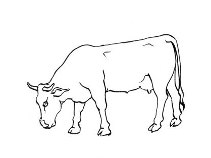 Dessin De Vache à Imprimer Inspirant Image Coloriage Vache 1 Vaches Animaux Vaches
