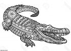 Dessin Difficile A Colorier Élégant Photographie Coloriage Difficile Zentangle Crocodile Adulte Crocodile