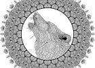 Dessin Difficile A Colorier Unique Images Coloriage Mandala Loup Difficile Plexe Adulte Dessin