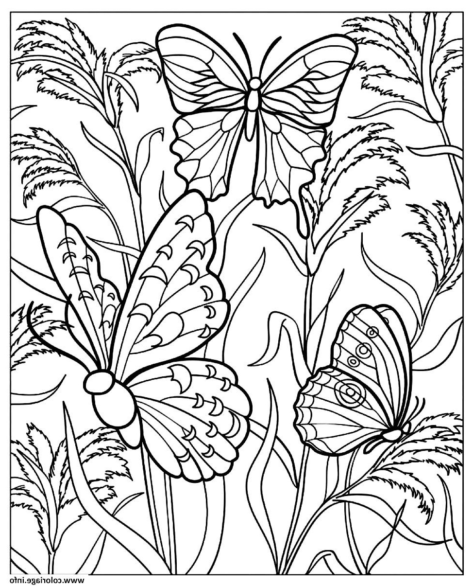 Dessin Difficile A Imprimer Cool Photographie Coloriage Difficile Papillons Dessin