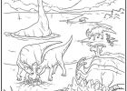 Dessin Dinosaure A Imprimer Cool Photos Dinosaure 29 Animaux – Coloriages à Imprimer