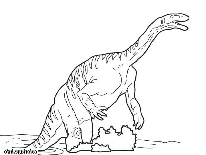 Dessin Dinosaure A Imprimer Nouveau Image Coloriage Dessin Dinosaure Plateosaure Dessin