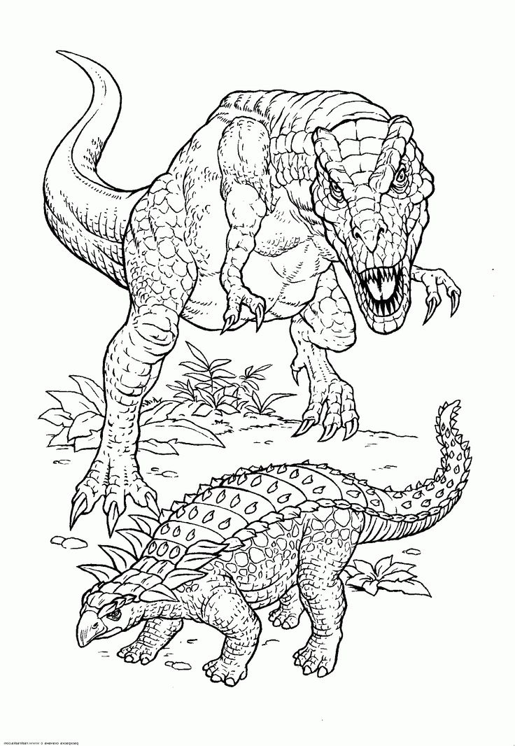 Dessin Dinosaure Nouveau Stock Coloriage Dinosaure—coloriage A Imprimer