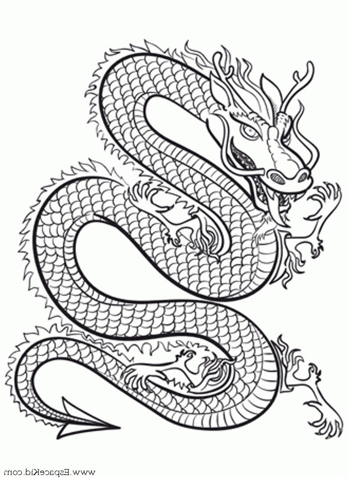 Dessin Dragon A Imprimer Beau Image L atelier Des Petits Lotus Le Dragon