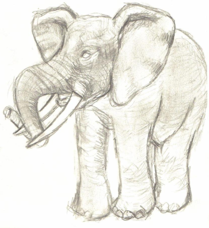 Dessin Elephant Afrique Beau Image Sculi Dessin éléphant D Afrique oreilles Decolléese