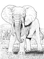 Dessin Elephant Afrique Bestof Image Dessin A Imprimer Animaux Afrique
