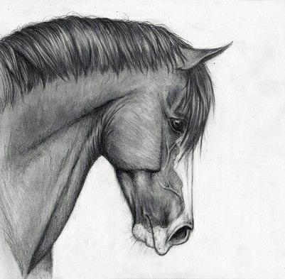 Dessin Facile Cheval Cool Images Cheval Cute Dessin Drawing Horse Noir Et Blanc