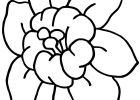 Dessin Facile Fleur Inspirant Stock 100 Dessins De Coloriage Fleur Facile à Imprimer