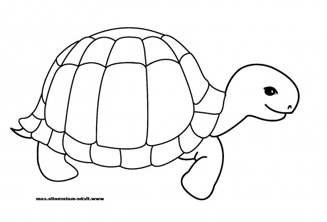 Dessin Facile tortue Inspirant Galerie Coloriage tortue Heureuse Dessin Gratuit à Imprimer