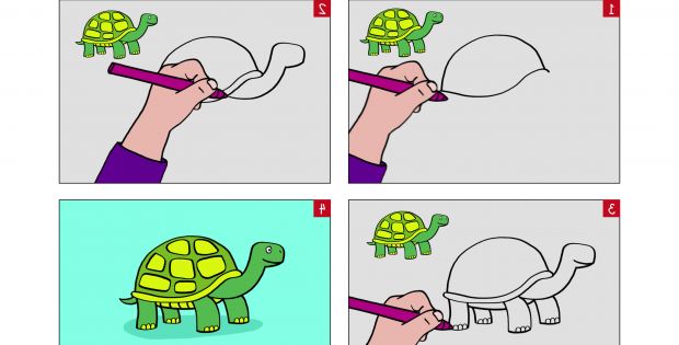 Dessin Facile tortue Unique Photos Apprendre à Dessiner  