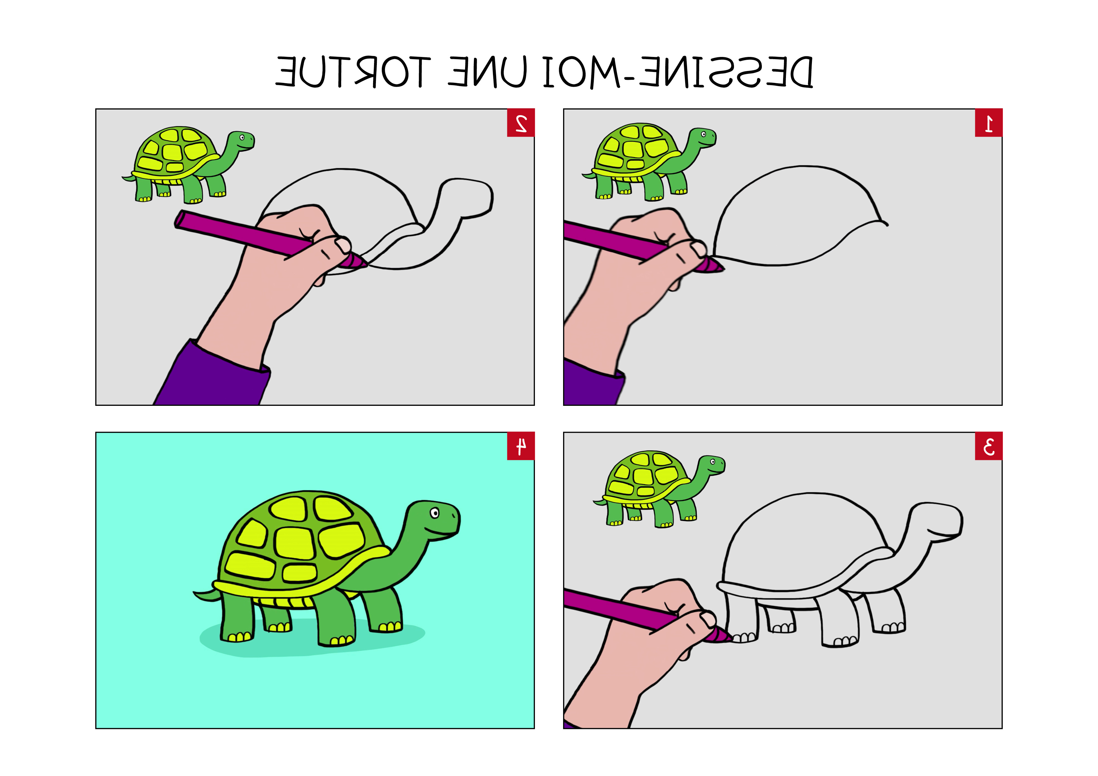 Dessin Facile tortue Unique Photos Apprendre à Dessiner Une tortue En 3 étapes