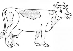 Dessin Facile Vache Luxe Collection Coloriage Vache à Colorier Dessin à Imprimer