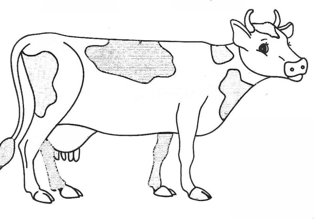 Dessin Facile Vache Luxe Collection Coloriage Vache à Colorier Dessin à Imprimer