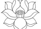 Dessin Fleur Facile Beau Stock Fleur De Lotus Zen Coloriage Fleur De Lotus Zen En Ligne
