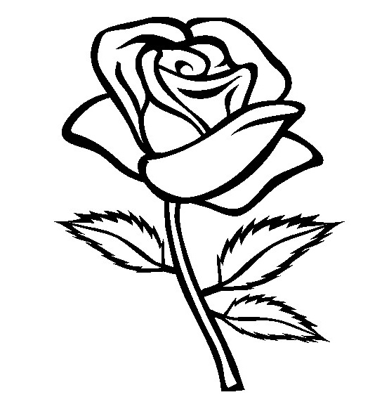 Dessin Fleur Rose Bestof Photographie Coloriage Rose Fleur Dessin Gratuit à Imprimer