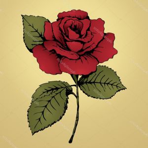Dessin Fleur Rose Nouveau Photographie Fleur Rose Rouge Dessin à Main Levée Bud Pétales Rouges