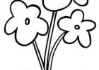 Dessin Fleur Simple Élégant Photos 25 Élégant Fleur Dessin Simple Idées