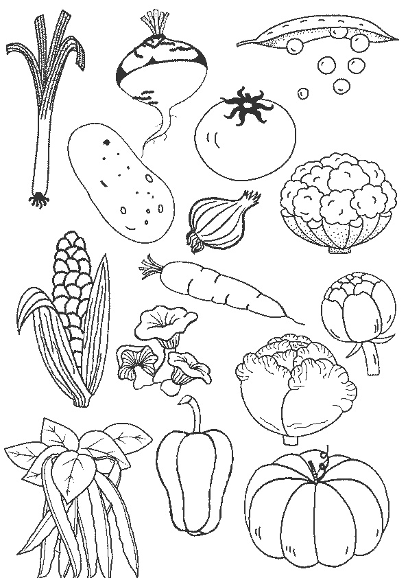 Dessin Fruit Et Legume Cool Images Dessin De Légume 4 Cliquez Pour Imprimer
